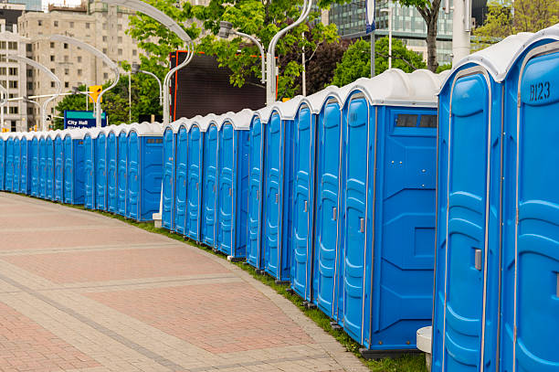 Best Portable Toilets with Baby Changing Stations  in Earlham, IA